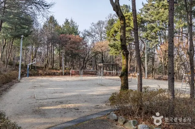 대모산도시자연공원 사진