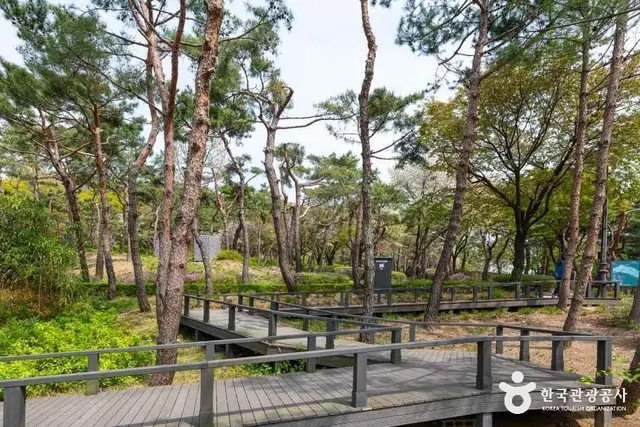 남산야외식물원 사진