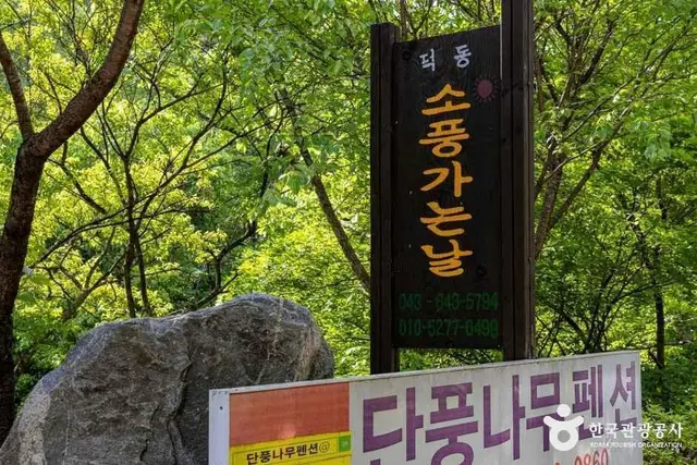 덕동소풍가는날 펜션캠핑장 사진