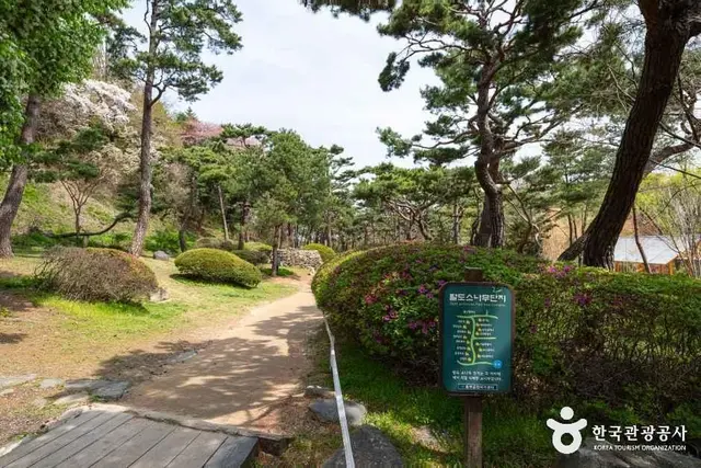 남산야외식물원 사진