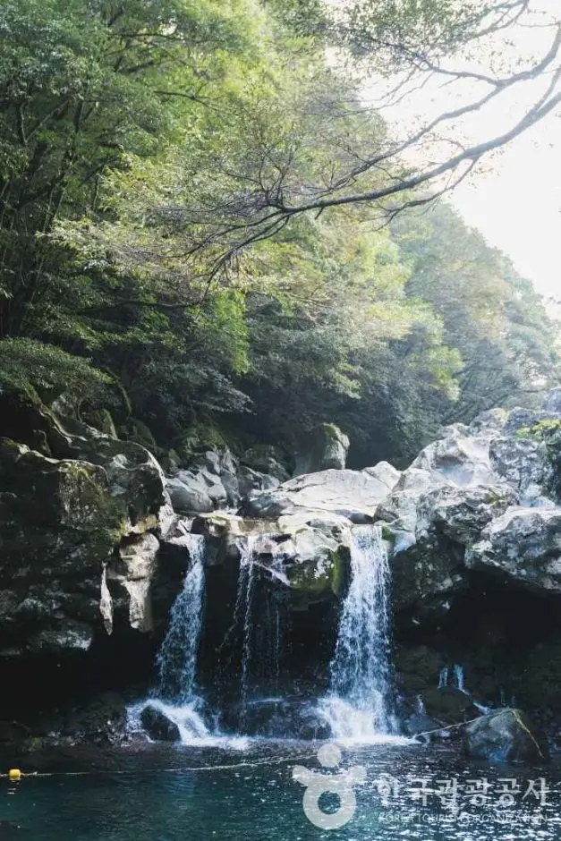 돈내코유원지 사진