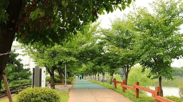 운정호수공원 유아숲체험원 사진