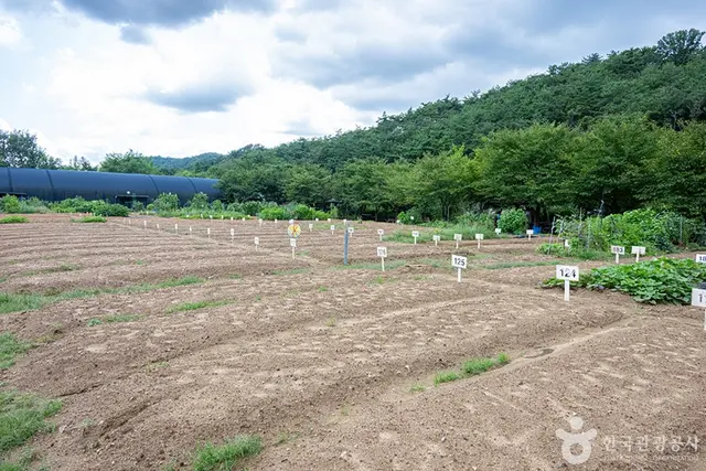 원두막주말농장 사진