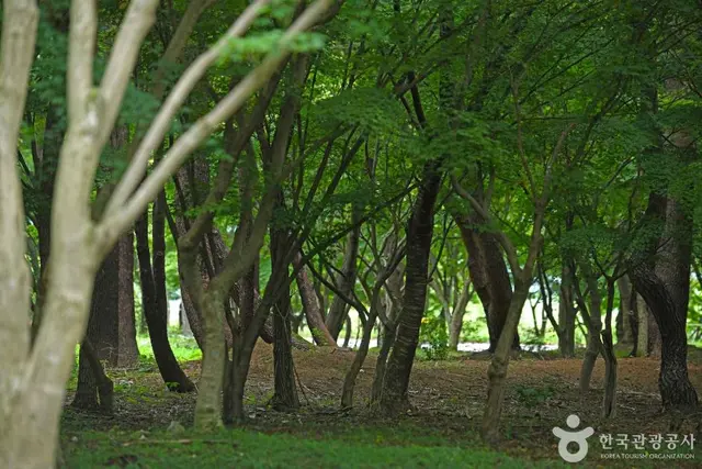 정읍 내장산수목원 사진
