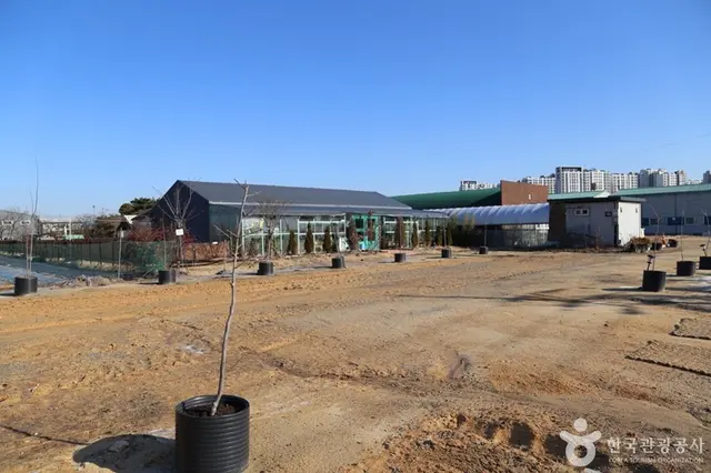 치유농장 뒤란 사진