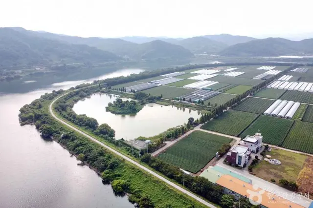 사천녹차단지 사진