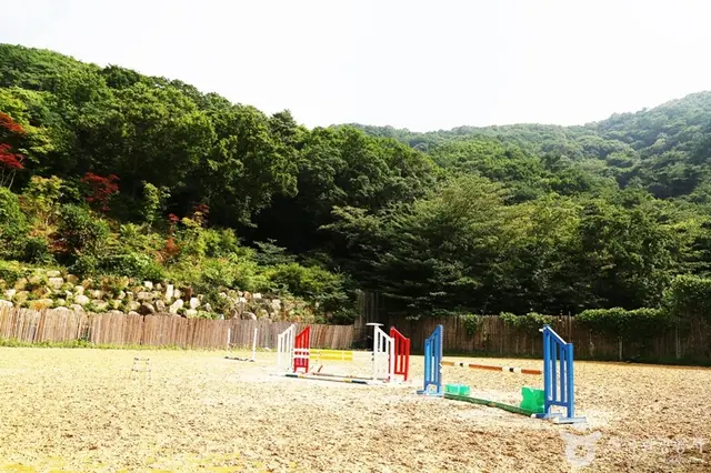 바모스승마클럽 사진