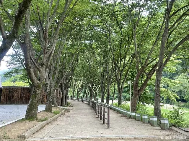 문경새재도립공원 사진