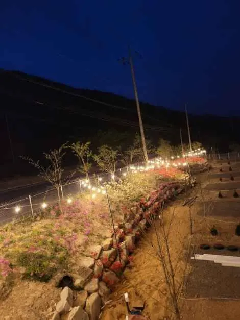 산내956 사진