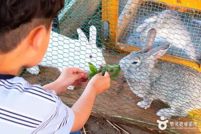 숨쉴꽃 허브 체험농장 사진