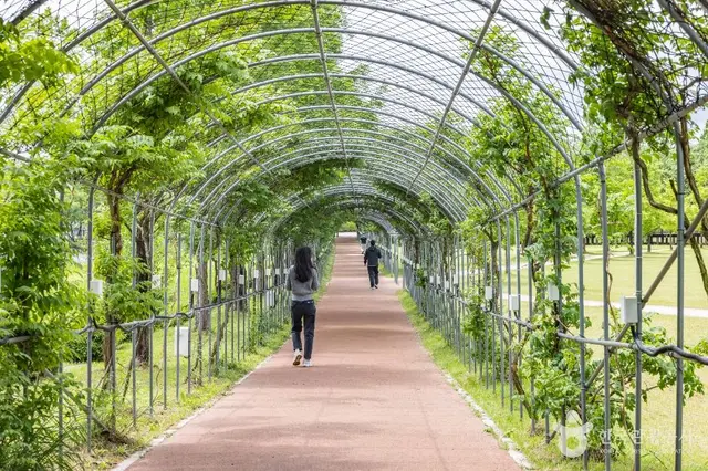 오송호수공원 사진