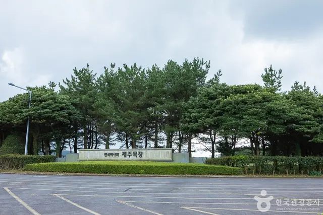 렛츠런팜 사진