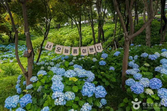장생포고래문화마을 사진