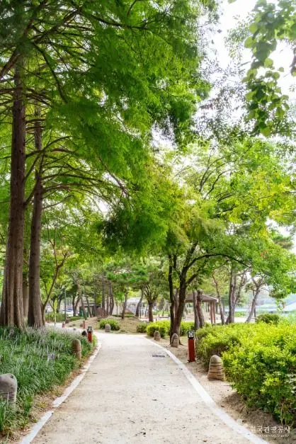 덕진공원 사진