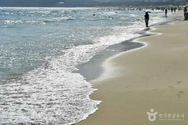 해운대해수욕장 사진