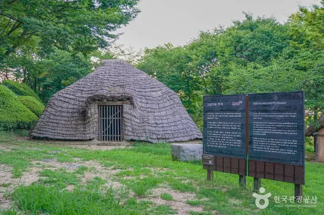 봉황대공원 사진