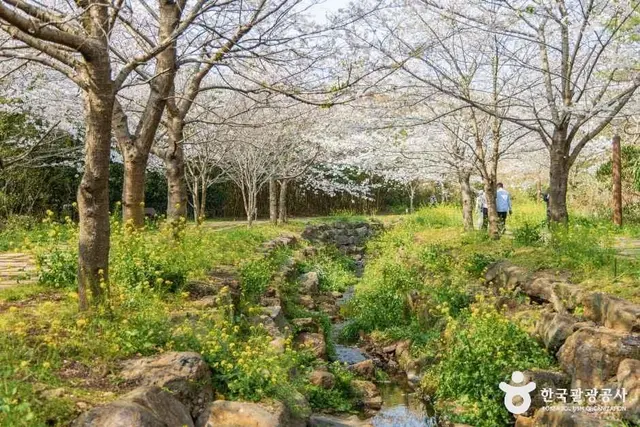 대왕수천예래생태공원 사진