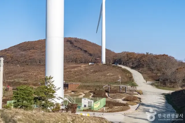 청옥산전망대 사진