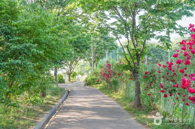 서탄금암체육공원 사진