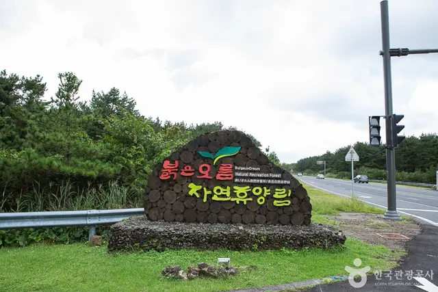 붉은오름자연휴양림 사진