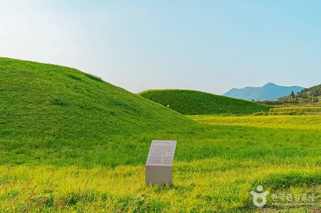 나주 복암리 고분군 사진