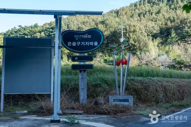 은골구기자마을 사진