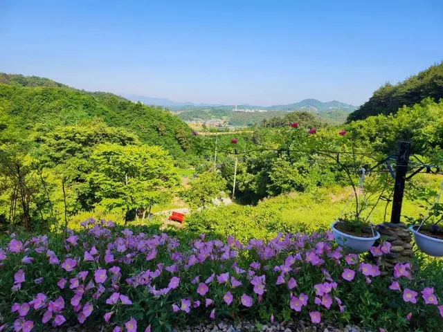 송주미술관카페 사진