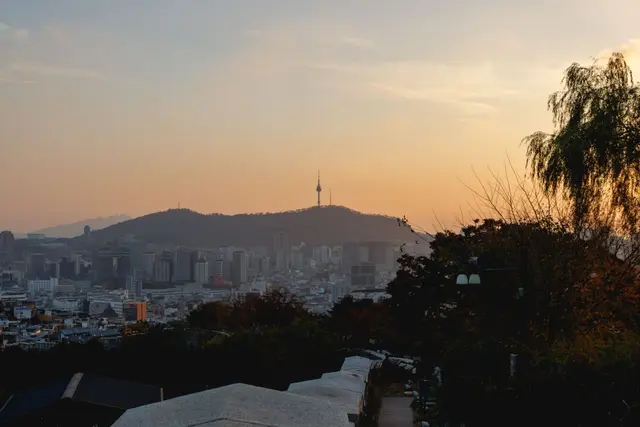 마로니에공원 사진