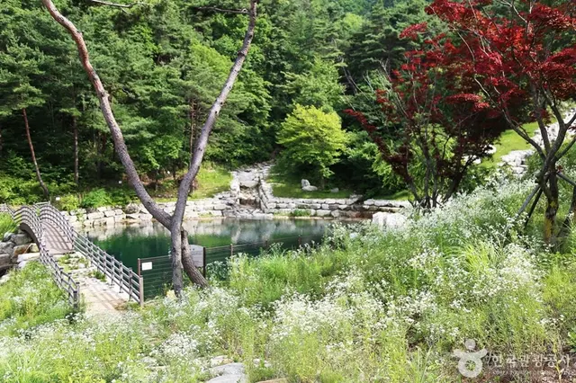동의보감촌한방자연휴양림 사진
