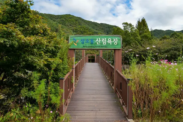 상소동 산림욕장 사진