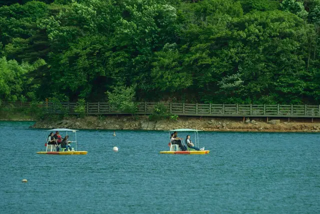 마장호수 출렁다리 사진