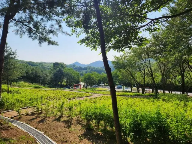 자일산림욕장 사진