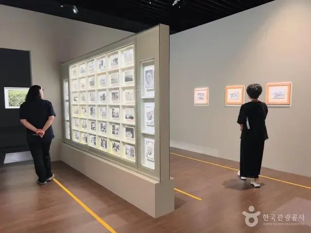 국립제주박물관 사진