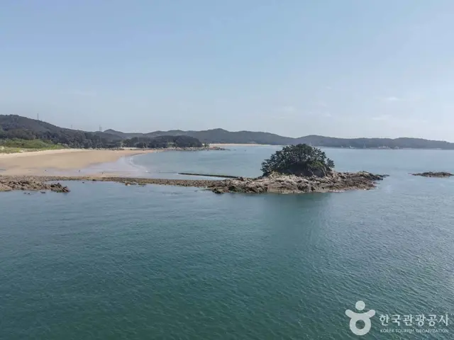 학암포해수욕장 사진