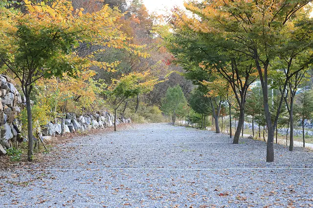아빠가만든캠핑장 사진