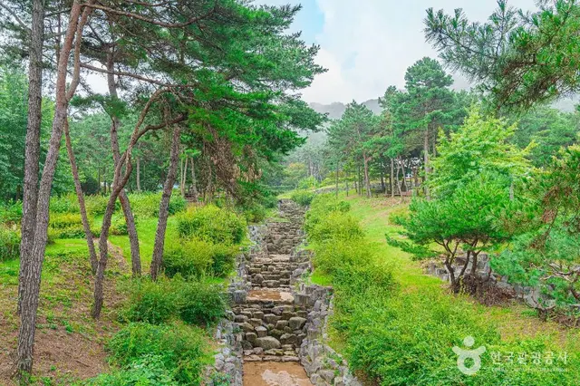 금성산생태숲 사진
