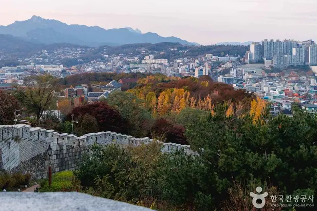 마로니에공원 사진