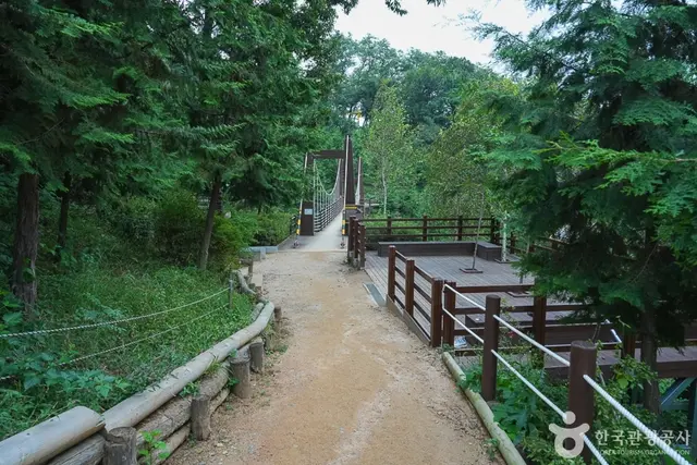 계양산 산림욕장 사진
