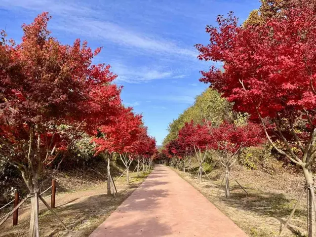 치악산 바람길숲 사진