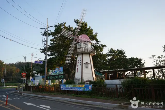 오류고아라해변 사진