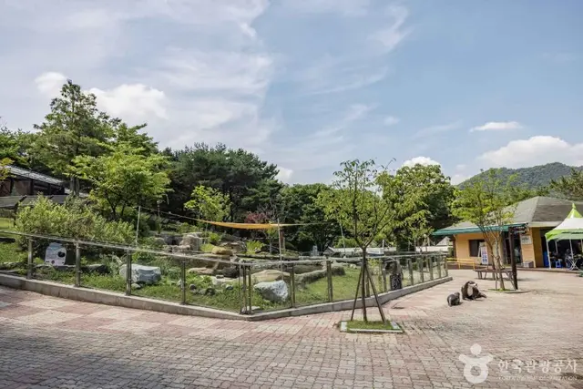 청주동물원 사진