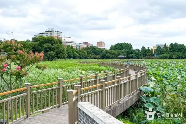 덕진공원 사진