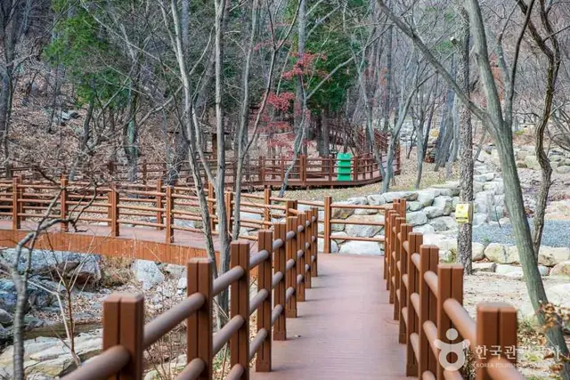 울산수목원 사진