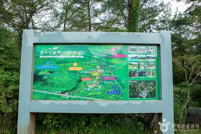 붉은오름자연휴양림 사진