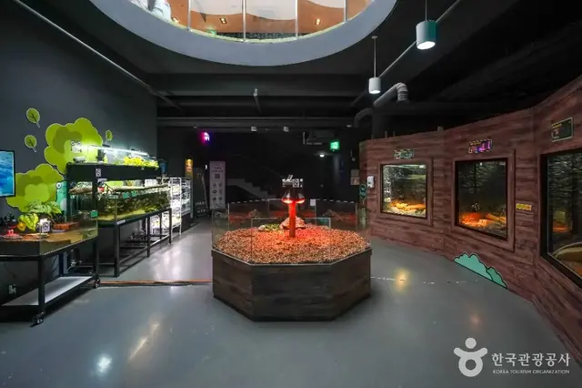 거제씨월드 사진