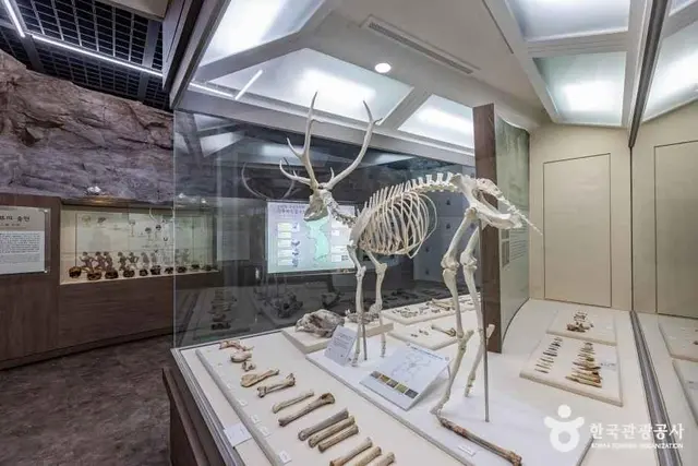 수양개선사유물전시관 사진