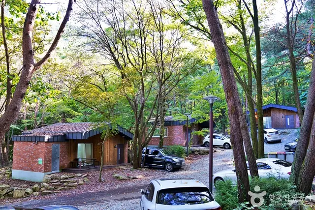 조령산자연휴양림 사진