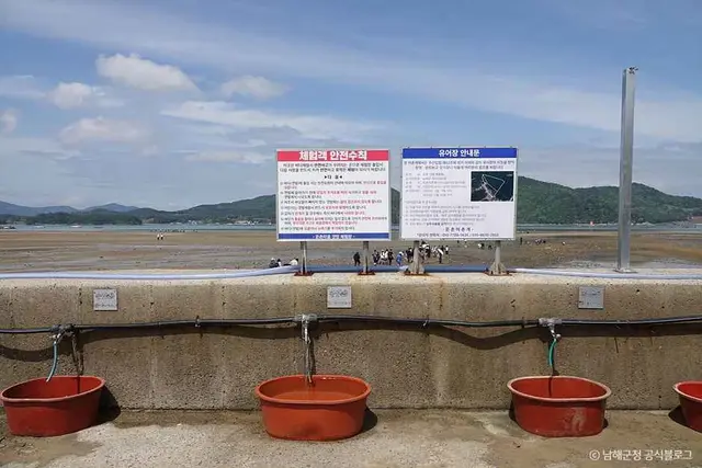 둔촌갯벌체험장 사진