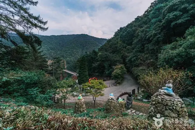 좌구산 자연휴양림 사진