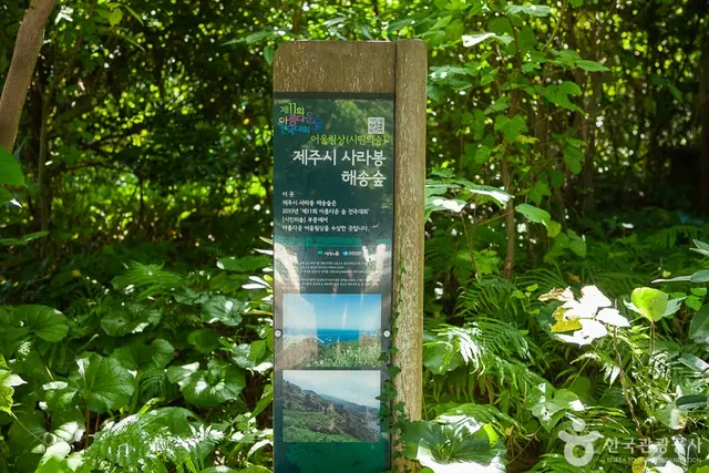 사라봉공원유아숲체험원 사진